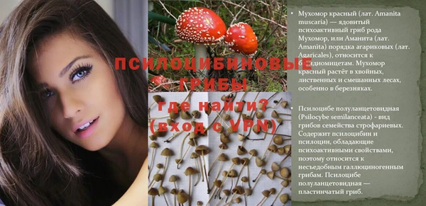 трава Пересвет