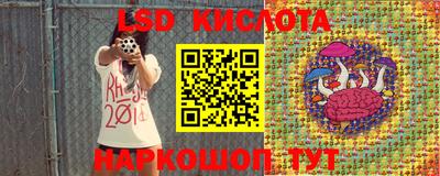 индика Заводоуковск