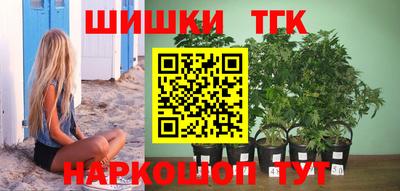 индика Заводоуковск