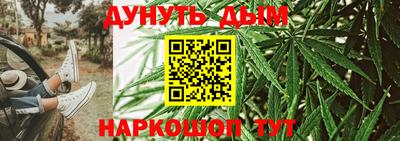 индика Заводоуковск